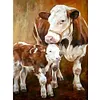 Cow - Round/Square AB Drills Diamond Painting(35*45cm)
