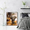 Elephant - 11CT Stamped Cross Stitch - 40*50cm - Animal