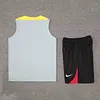 2024/2025 Liverpool Pre-match Training Grey Jersey+Shorts  1:1 Thai Quality