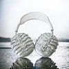 Silver Spine Original Design 3D Printing AirPods Max Apple Earphone Case