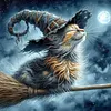 Broomstick Cat-11CT/14CT Stamped Cross Stitch 40*40cm