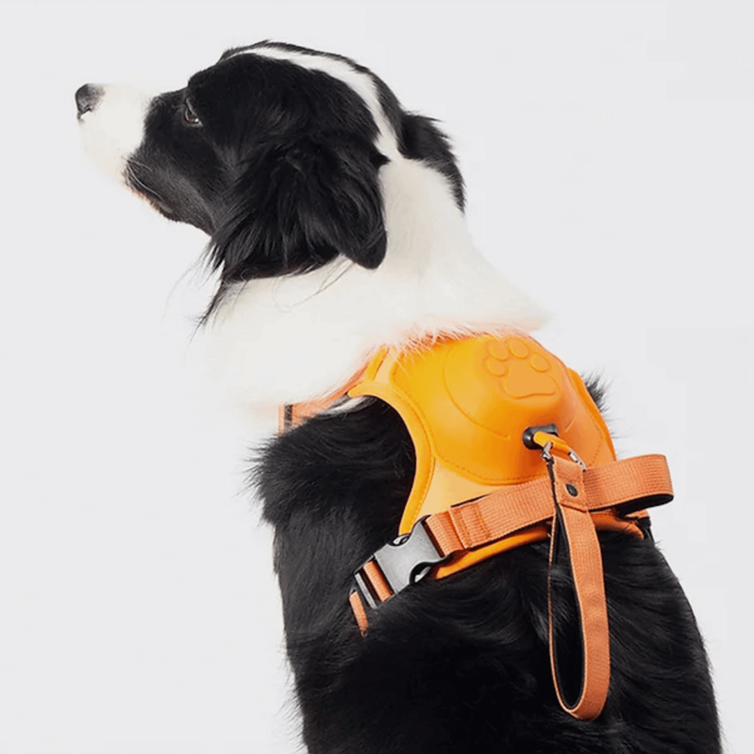 Poochbark&trade; 3 in 1 Dog Harness with Built-In Leash