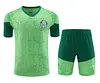 2024/2025 Palmeiras pre-match training Cyan-Blue Shirt+Shorts 1:1 Thai Quality