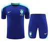 2024-2025 Brazil Training Suit Football Shirt 1:1 Thai Quality