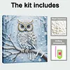 (25x25cm)DIY Owl Framed Handmade Pearl Painting Art Craft Kit Living Home Decor