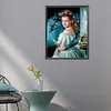 (US Local)Princess 5D DIY Full Round Drill Big Size Diamond Painting Kit Home Decor 40x50cm