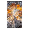 Autumn Birch Trees-11CT Stamped Cross Stitch 40*75cm/15.75*29.53in(Big Size)