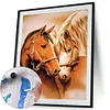 Loving Horses - Paint by Numbers Acrylic Painting 40x50cm(HOT)