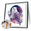 【Limited Stock Sale】Flowers And Owl-Paint by Numbers Acrylic Paintingg 40*40CM(Watercolor)