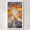 Autumn Birch Trees-11CT Stamped Cross Stitch 40*75cm/15.75*29.53in(Big Size)