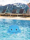 Pool Chlorine Floater Chemical Dispenser Supports 1-3in Tablets for Pool Hot Tub