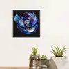 Star Owl-Paint by Numbers Acrylic Painting 20*20cm