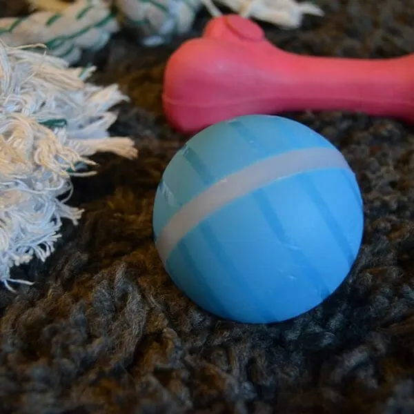 Pet Balls