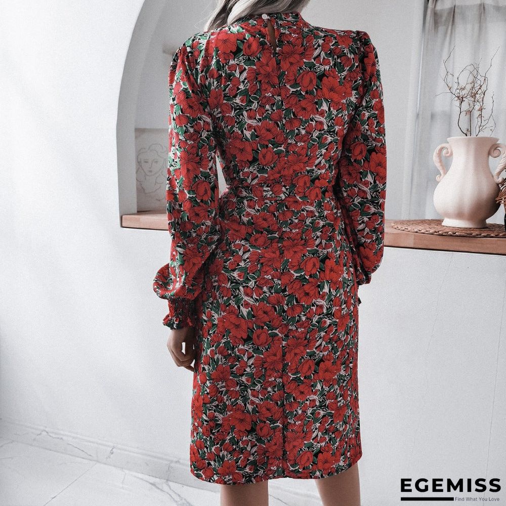 Floral Stand Collar Lantern Long Sleeve Chiffon Dress | EGEMISS