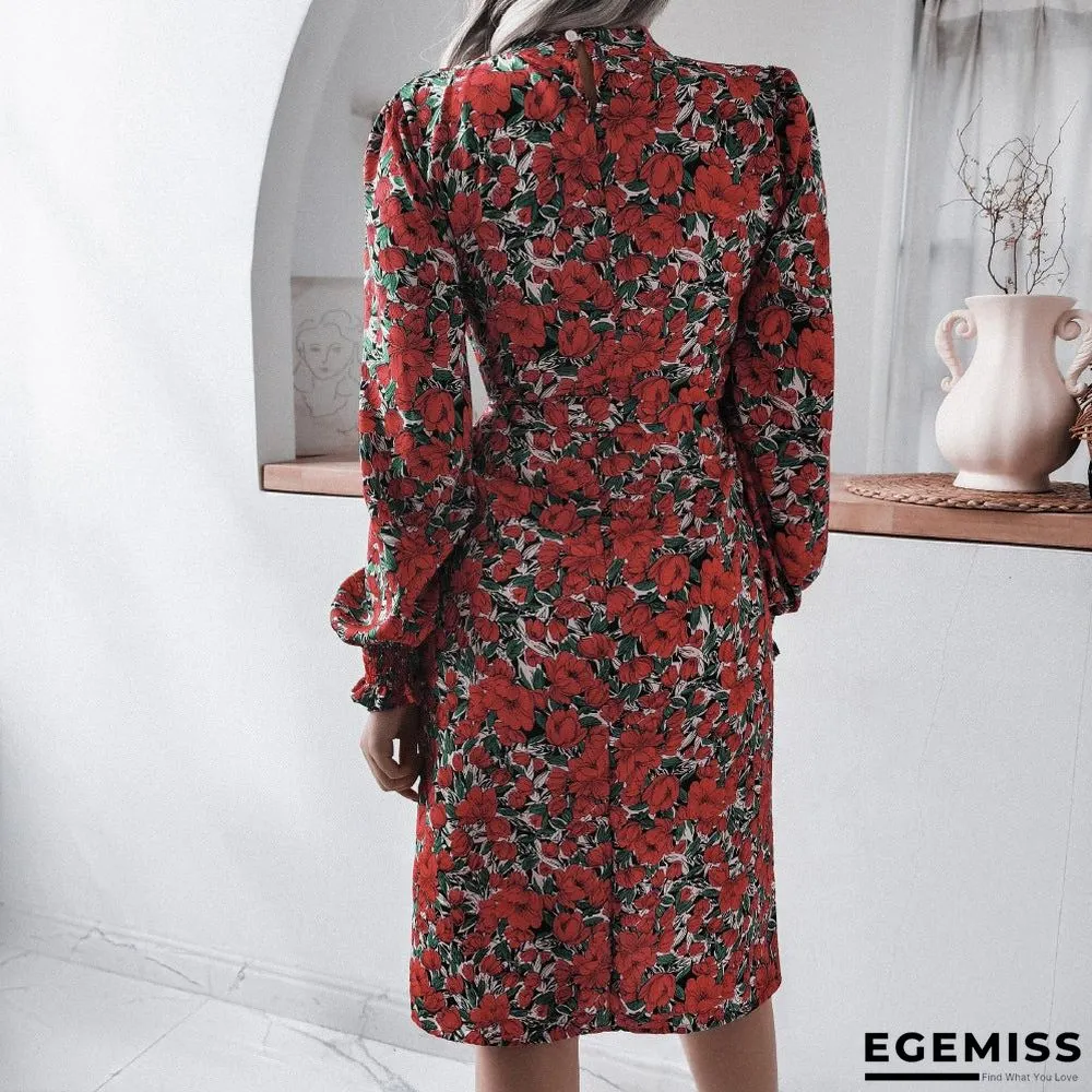 Floral Stand Collar Lantern Long Sleeve Chiffon Dress | EGEMISS