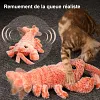 Jouet interactif &eacute;lectrique de disquette de chien de chat