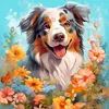Laughing Dog-Paint by Numbers Acrylic Painting 40*40CM