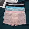 Ice Silk Breathable Mesh Transparent Sexy Underwear